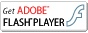 Get Adobe FLASH PLAYER